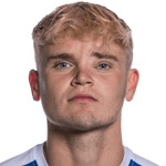 N·斯特伦克